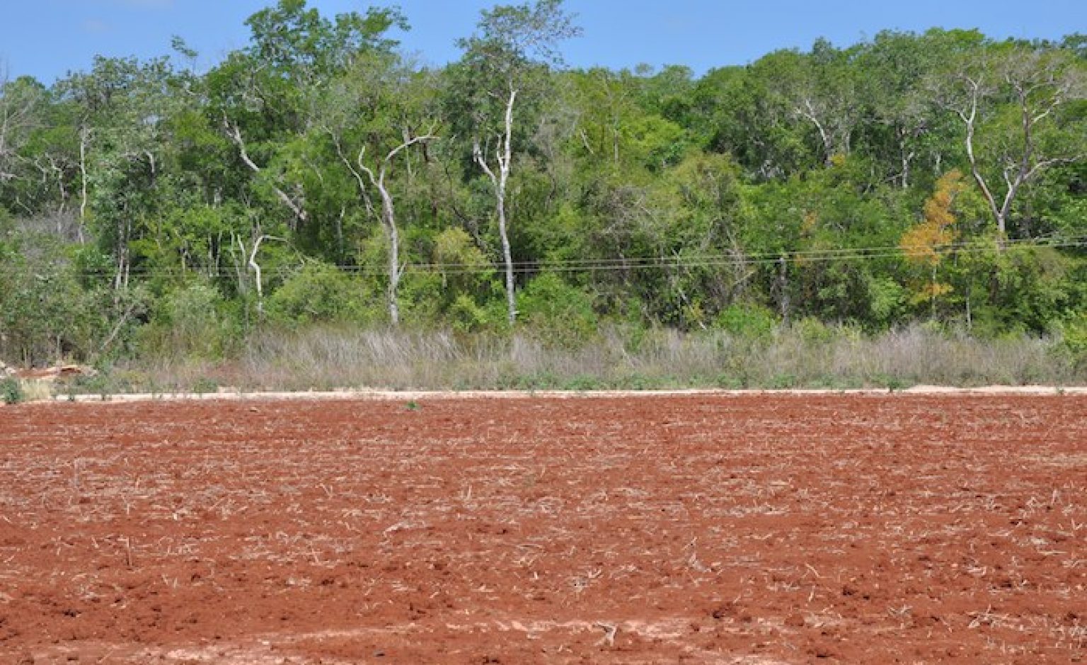 La península de Yucatán se une a la sustentabilidad del campo – CIMMYT | IDP