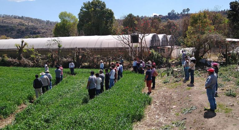 La Agricultura Sustentable En Michoacán – CIMMYT | IDP