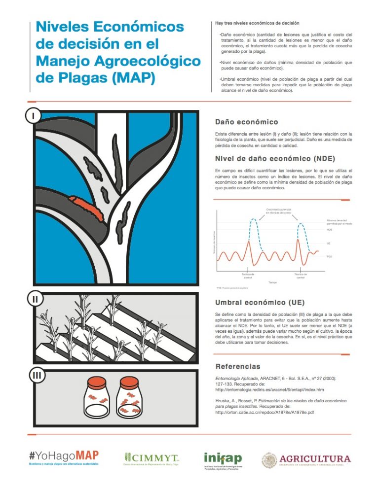 Niveles Económicos – CIMMYT | IDP