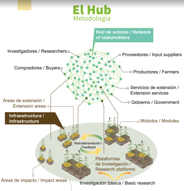 CIMMYT | IDP – Desarrollo Estratégico